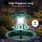 Best Choice Products Solar Outdoor Bird Bath Pedestal Fountain Garden Decoration w/ Fillable Planter Base
